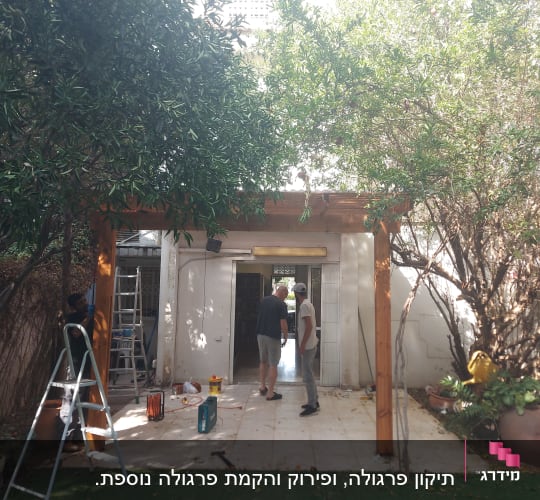 עבודת עץ בגינה עם סולם וכלי עבודה